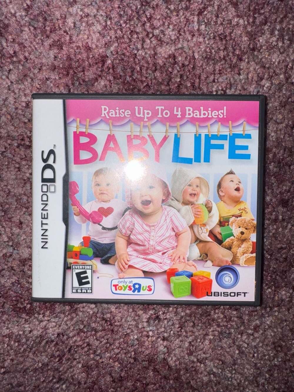 Baby Life Nintendo DS Game Tested Works
